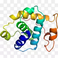 人体首饰有机体线剪贴画线-空若网 人体首饰有机体线剪贴画线-空若网