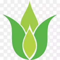 标志叶标志图案.符号-空若网 标志叶标志图案.符号-空若网