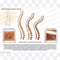 商品食品字体设计-空若网 商品食品字体设计-空若网