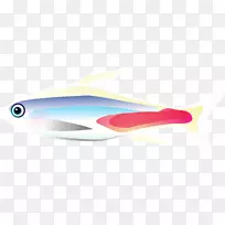 热带鱼-空若网 热带鱼-空若网