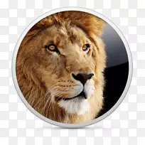 Macos x狮子MacOS苹果-苹果-空若网 Macos x狮子MacOS苹果-苹果-空若网
