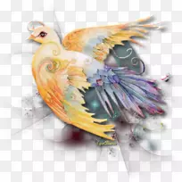 羽毛友谊-羽毛-空若网 羽毛友谊-羽毛-空若网