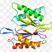 人体珠宝线有机体剪贴画线-空若网 人体珠宝线有机体剪贴画线-空若网
