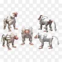 食肉动物野生动物肌肉狒狒-空若网 食肉动物野生动物肌肉狒狒-空若网