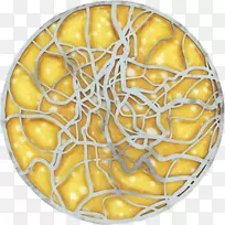 果嘴-空若网 果嘴-空若网