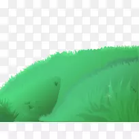 ��������յ��Ա�ֽ�ʻ��-������