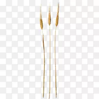 ֲ�ﾥ-С��PNG-������