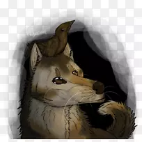 犬科动物鼻子毛皮狗-空若网 犬科动物鼻子毛皮狗-空若网