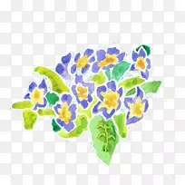 花卉设计紫罗兰艺术植物.报春花-空若网 花卉设计紫罗兰艺术植物.报春花-空若网