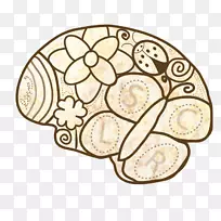 物质创造性脑-空若网 物质创造性脑-空若网