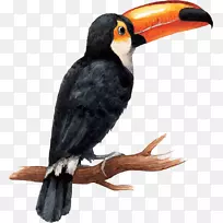 水彩画图样摄影.设计-空若网 水彩画图样摄影.设计-空若网