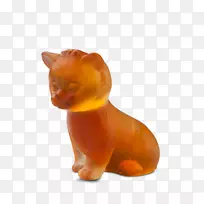 猫,狗,鼻子,猫-空若网 猫,狗,鼻子,猫-空若网