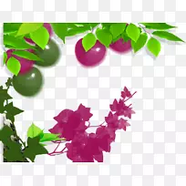 Á¢Ìå͸ÊÓÈýά¼ÆËã»úͼÐÎ.ÈýάÊÖ»æÆ»¹û-¿ÕÈôÍø Á¢Ìå͸ÊÓÈýά¼ÆËã»úͼÐÎ.ÈýάÊÖ»æÆ»¹û-¿ÕÈôÍø