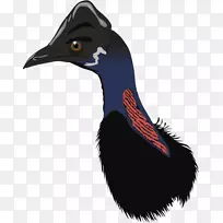 �����������ë��-������