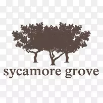 徽标品牌博客肥皂剧字体-梧桐树-空若网 徽标品牌博客肥皂剧字体-梧桐树-空若网