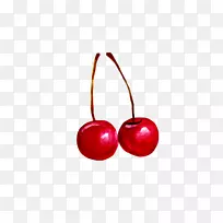 樱桃果下载-无红樱桃叶-空若网 樱桃果下载-无红樱桃叶-空若网
