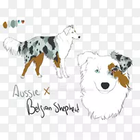 犬种小狗猫夹艺术-澳大利亚牧羊犬混血-空若网 犬种小狗猫夹艺术-澳大利亚牧羊犬混血-空若网