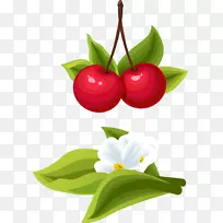 Ó£ÌÒ¿¨Í¨Æ¬ÒÕÊõ.ÊÖ»æÓ£ÌÒ-¿ÕÈôÍø Ó£ÌÒ¿¨Í¨Æ¬ÒÕÊõ.ÊÖ»æÓ£ÌÒ-¿ÕÈôÍø