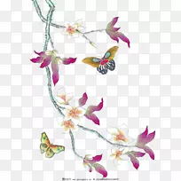 ������ƺ��������Ӿ�����.ӣ��ͼ��-������