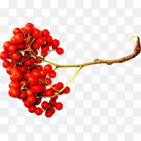 桃李切花艺术-樱桃果-空若网 桃李切花艺术-樱桃果-空若网