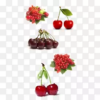 巴巴多斯樱桃-空若网 巴巴多斯樱桃-空若网