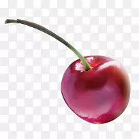 ӣ��ʳƷ-ӣ��-������