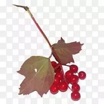 樱花果实樱桃-空若网 樱花果实樱桃-空若网