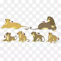 狮子狗猫陆生动物-狮子-空若网 狮子狗猫陆生动物-狮子-空若网