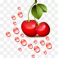 樱桃剪贴画-小红樱桃-空若网 樱桃剪贴画-小红樱桃-空若网
