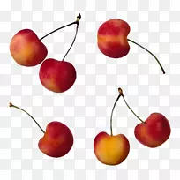 皇家安安樱桃有机食品摄影-樱桃创意-空若网 皇家安安樱桃有机食品摄影-樱桃创意-空若网