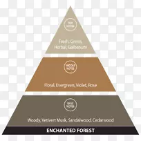 ������ͼ���������ͼ-������-������