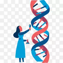 科学生物学dna手绘探索性生物科学-空若网 科学生物学dna手绘探索性生物科学-空若网