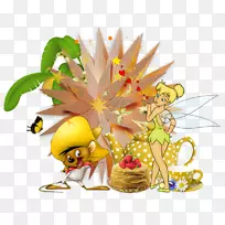 ¿ª»¨Ö²Îï¹ûʵ-¿ÕÈôÍø ¿ª»¨Ö²Îï¹ûʵ-¿ÕÈôÍø