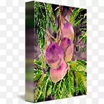 Ê÷֦ˮ²Ê»Ã¢¹û-¿ÕÈôÍø Ê÷֦ˮ²Ê»Ã¢¹û-¿ÕÈôÍø