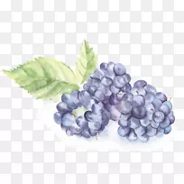 水彩画-水彩画水果-空若网 水彩画-水彩画水果-空若网