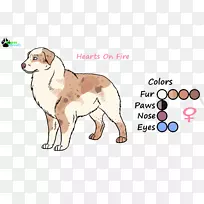 ���������ӣ����䣬С��-������