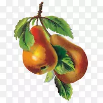 苹果梨夹子艺术-苹果-空若网 苹果梨夹子艺术-苹果-空若网