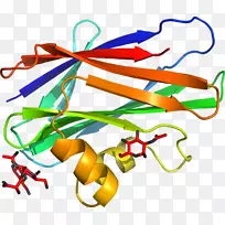 �ߵ������-��-������