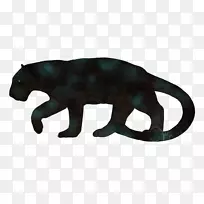 大猫陆生动物野生动物-猫-空若网 大猫陆生动物野生动物-猫-空若网