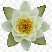 ������������-���Ͳ����߻�-������