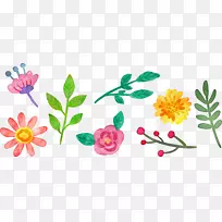 ������ƻ���ˮ�ʻ���ͨˮ�ʻ�-������