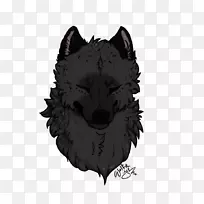 灰狼鼻子胡须-为什么是我-空若网 灰狼鼻子胡须-为什么是我-空若网