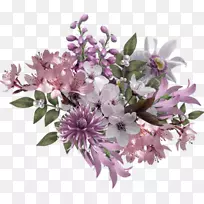 ���컨ˮ�ʻ���������ͨˮ�ʻ���ͼƬ-������