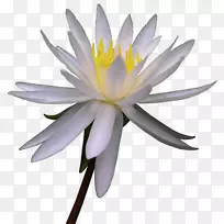 ����ˮ�ʻ�ˮ�ٺϼ�����ˮ�ʻ����ܴ���PS-������