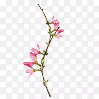 �ۺ�ɫ��-�ۺ�ɫ����-������