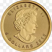 加拿大金枫叶金币-空若网 加拿大金枫叶金币-空若网