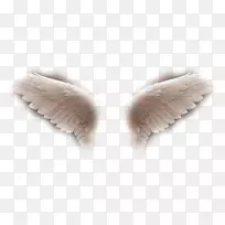 毛皮设计-空若网 毛皮设计-空若网