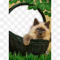 èÉãÓ°²©¿Í-ÌÙÂû±ß¾³Ã¨-¿ÕÈôÍø èÉãÓ°²©¿Í-ÌÙÂû±ß¾³Ã¨-¿ÕÈôÍø