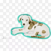 小狗繁殖鼻子-小狗-空若网 小狗繁殖鼻子-小狗-空若网