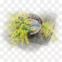 水彩画花水彩画艺术-空若网 水彩画花水彩画艺术-空若网